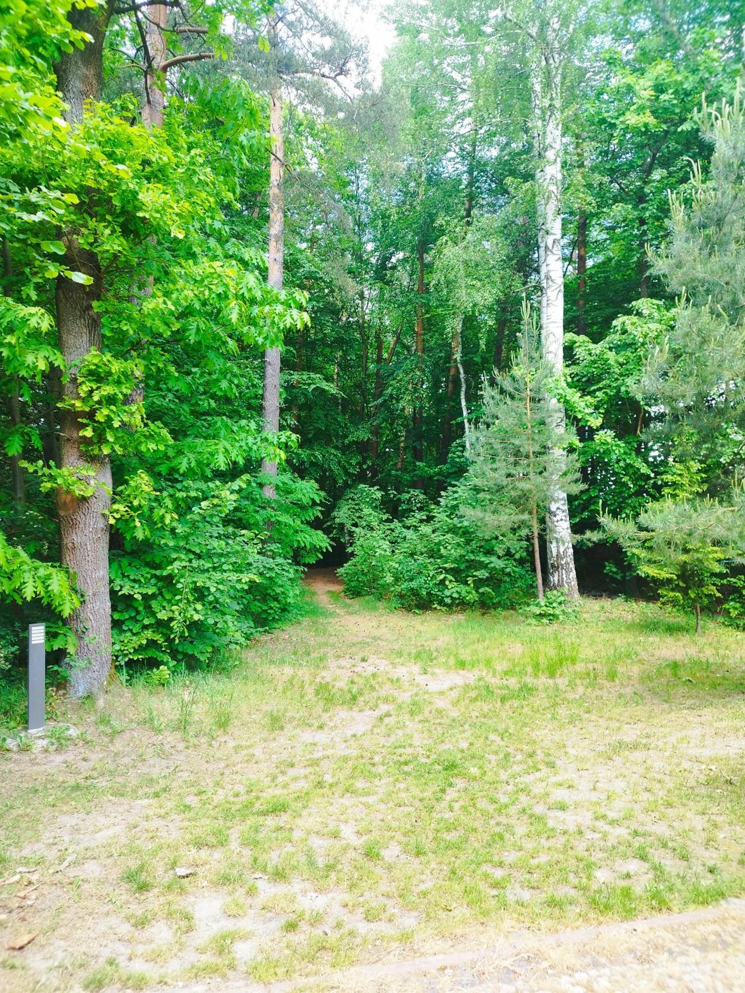 Apartment Lesne Zacisze Glogow Malopolski
